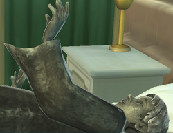 Unidentified petrified boy from Harry Potter Hogwarts Mystery