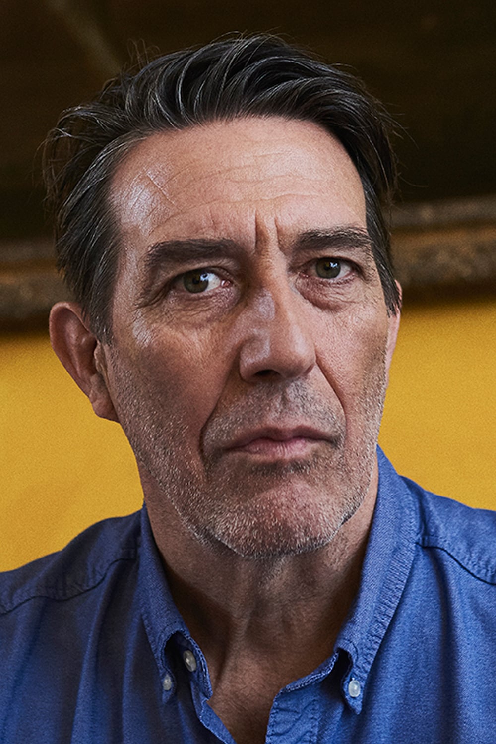 Ciarán Hinds | Harry Potter Wiki | Fandom