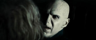 ニワトコの杖 Harry Potter Wiki Fandom ニワトコの杖 Harry Potter Wiki Fandom