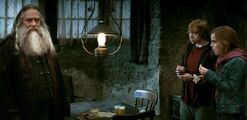 Harry-potter7-movie-screencaps.com-3302