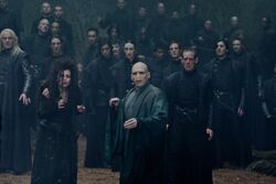 DH2 Death Eaters with Voldemort during the battle
