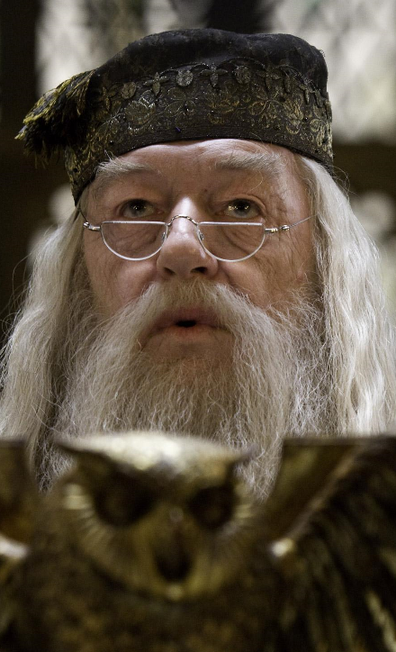 Dad makes a 'Harry Potter' Dumbledore-themed lunch