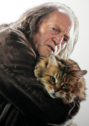 Filch and mrs. Norris