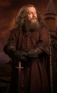 A portrait of Godric Gryffindor from the "Wall of Portraits" feature