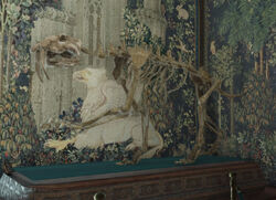 Saber-toothed tiger skeleton HL