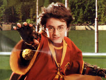 H.P.Snitch