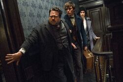 Jacob, Newt et Porpentina