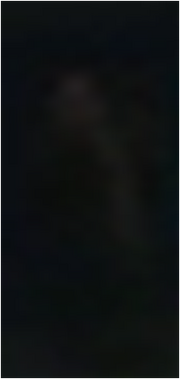 Teacher xxviii.png