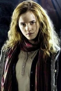 DeathlyPromo Hermione.png (295 kB)