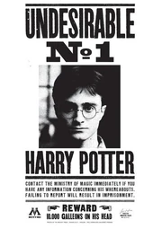 Undesirable No. 1 Harry Potter poster 01