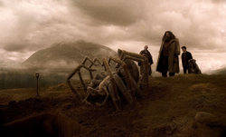 Aragog Funeral