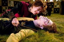 Dead Cedric Diggory