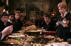 Gryffindors in the Great Hall COSF