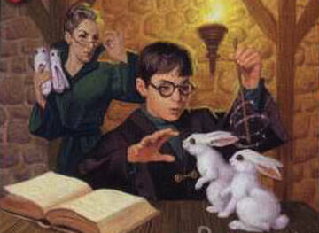 Rabbit Slippers Harry Potter Wiki Fandom