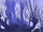 Whomping Willow PAS.png