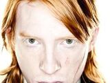 William Weasley