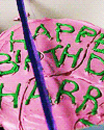 Harry Potter S Eleventh Birthday Harry Potter Wiki Fandom