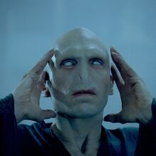 Tom Riddle Harry Potter Fandom
