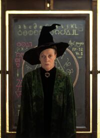 McGonagall with blackboard