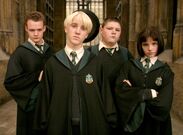 POA Draco Malfoy's gang