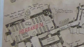 Herbarium