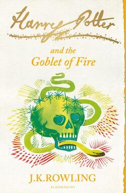 Harry potter globe shop of fire