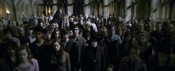 Crowd who saw Professor Dumbledore's dead body in the courtyard