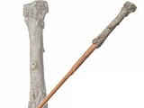 Harry Potter's wand