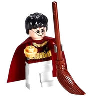 Harry Quidditch LEGO