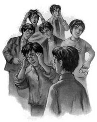 Seven Potters