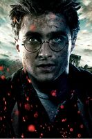 Harry close-up textless