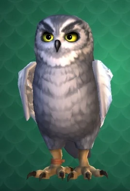 Igor (owl)