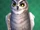 Igor (owl)