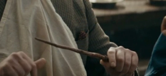 ジェイコブ・コワルスキーの杖 | Harry Potter Wiki | Fandom