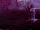 Полумна Лавгуд и фестрал.gif