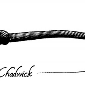 Wand Wood Harry Potter Wiki Fandom