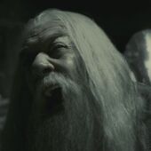 Dumbledore grief