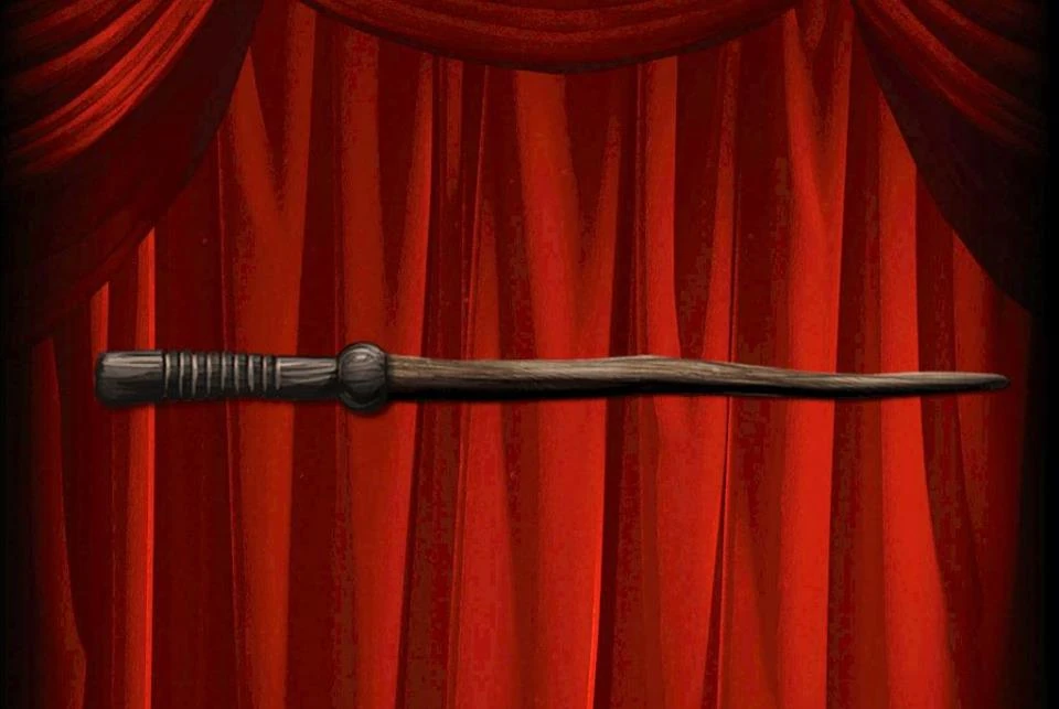 Ebony Harry Potter Wiki Fandom