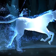 Unicorn Harry Potter Wiki Fandom