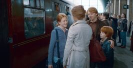 Familia-ron-hermione-