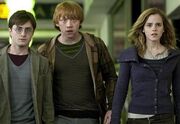 Harry-Potter-e-i-doni-della-morte.jpg