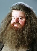 Rubeus Hagrid[37]