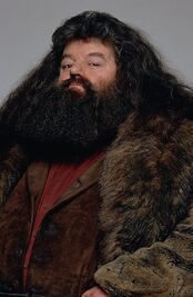 Rubeus Hagrid