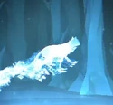 RussianBlueCat-patronus.jpg (14 KB) Russian Blue Cat