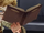 Kevin Farrell's cursed book