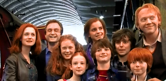 Weasley Family Harry Potter Wiki Fandom