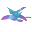 Fairy wings[4][39]