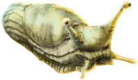 FleshEatingSlugWU
