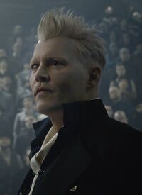 Grindelwald Headshot COG