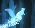 RedSquirrel-patronus.jpg (17 KB) Red Squirrel
